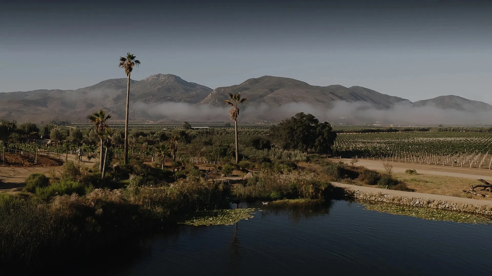 The lake below Casa Montaña at dawn