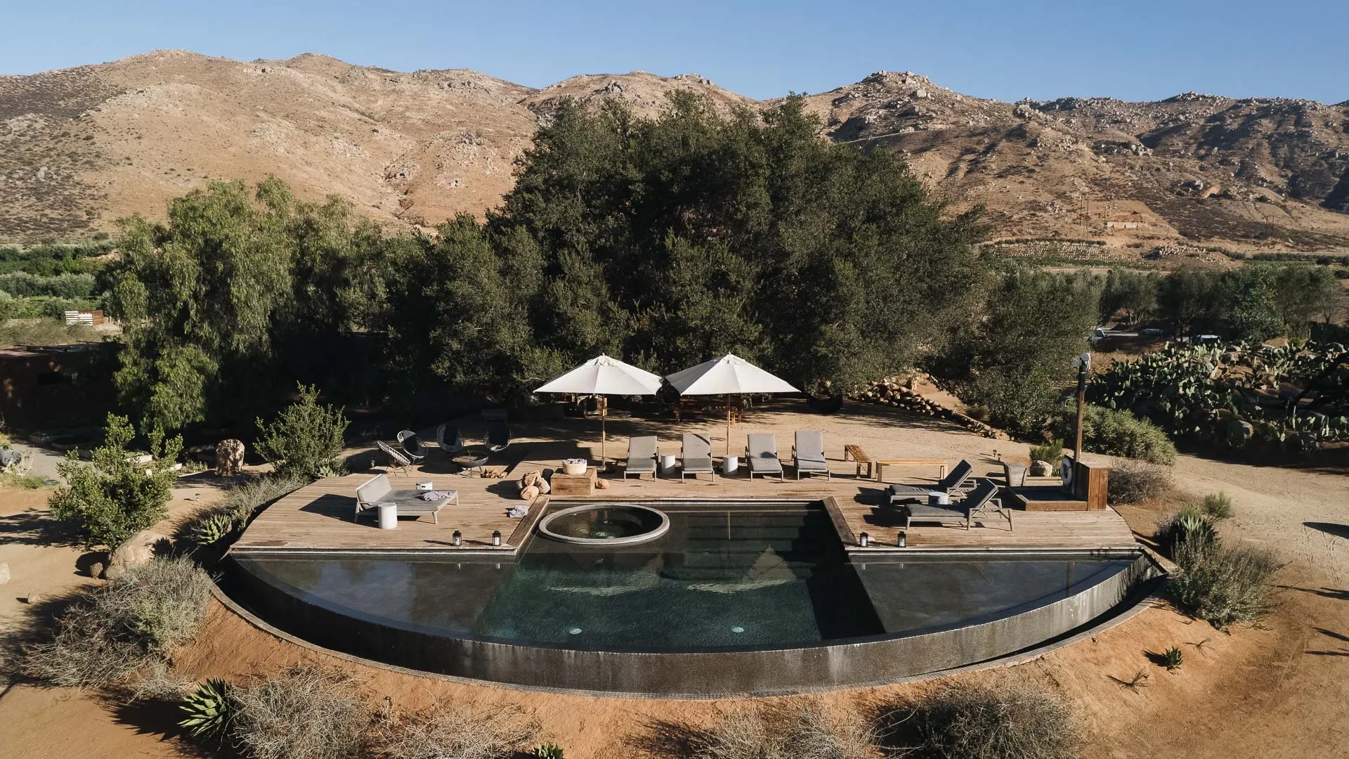 Casa Ocho’s round infinity pool under the oaks, from above
