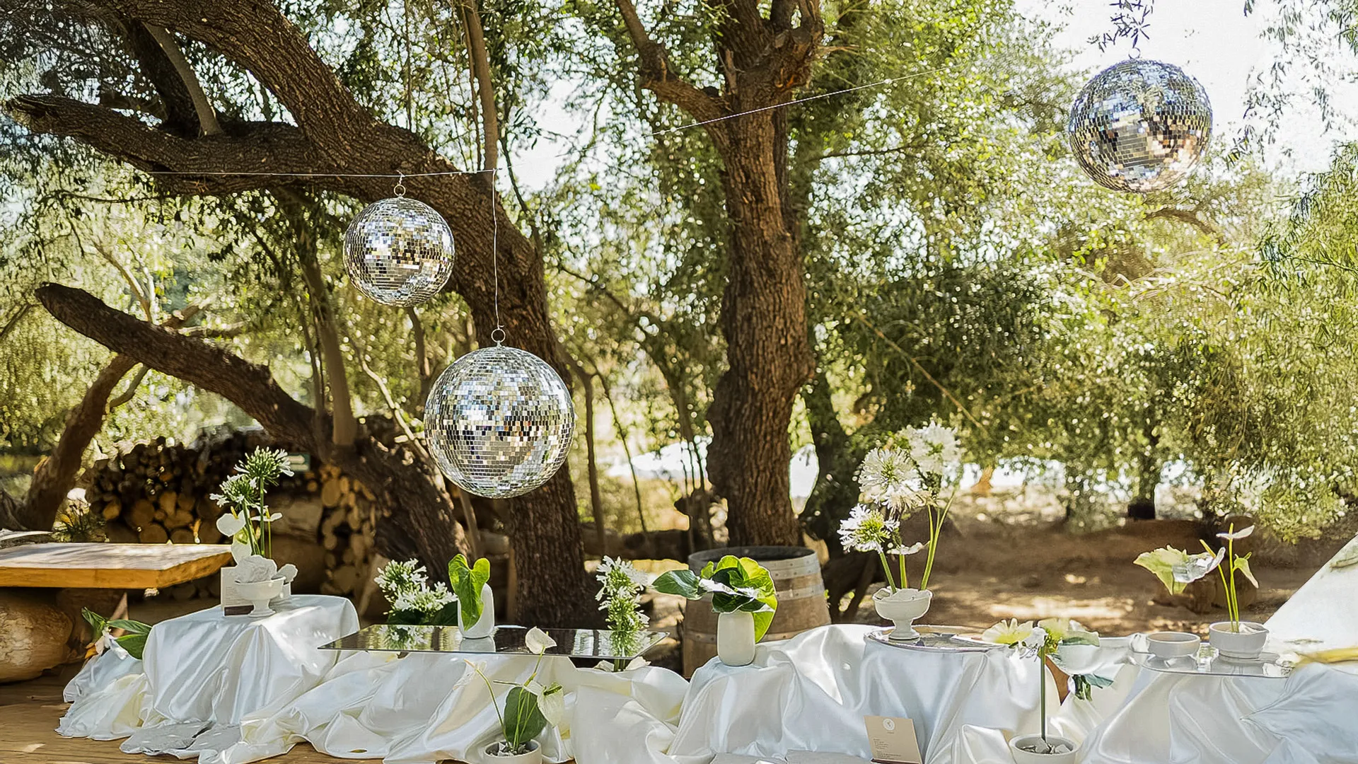 Wedding tables set under the trees